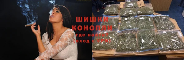 дживик Осташков
