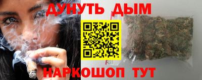 стафф Гай