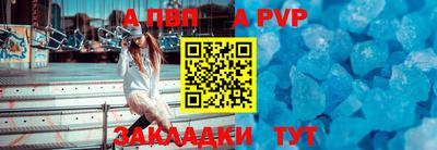 стафф Гай