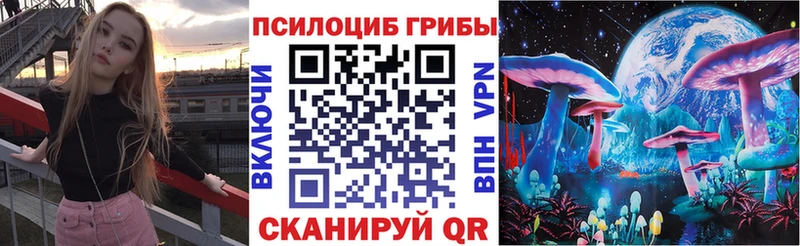 купить наркоту  ОМГ ОМГ ссылка  Псилоцибиновые грибы Magic Shrooms  Кимовск 