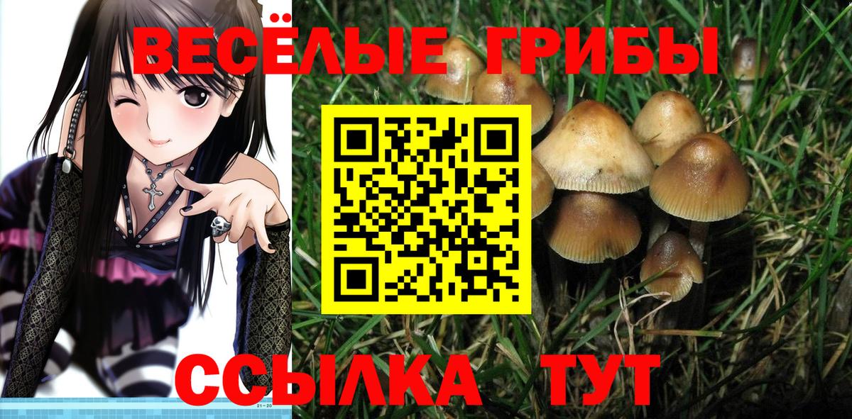 Псилоцибиновые грибы GOLDEN TEACHER Кимовск