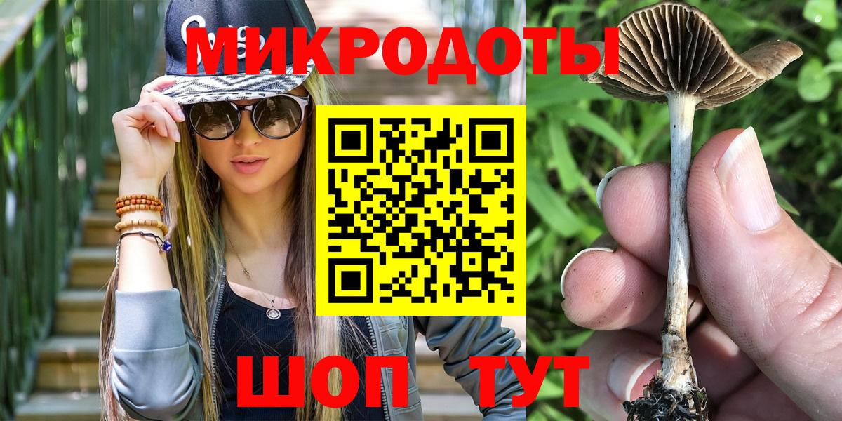 Псилоцибиновые грибы Cubensis  продажа наркотиков  Кимовск  Вход с VPN 