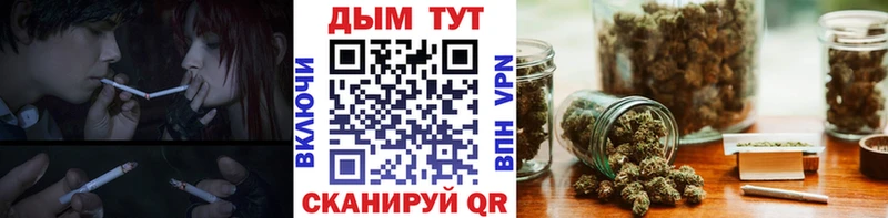 блэк спрут ONION  Кимовск  Канабис семена 