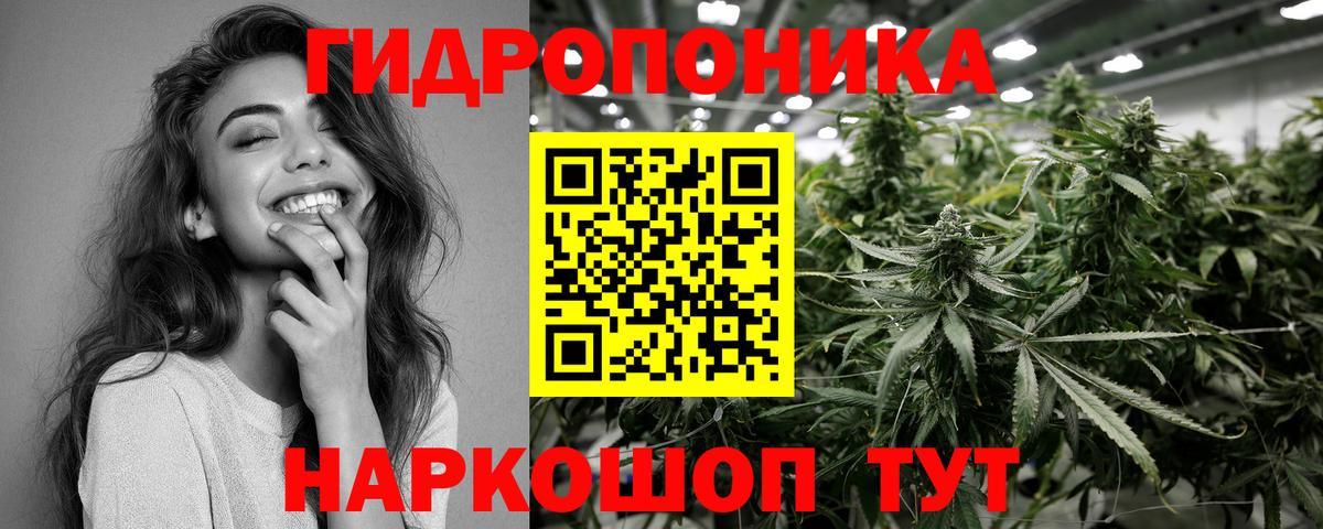 Бошки марихуана марихуана Кимовск