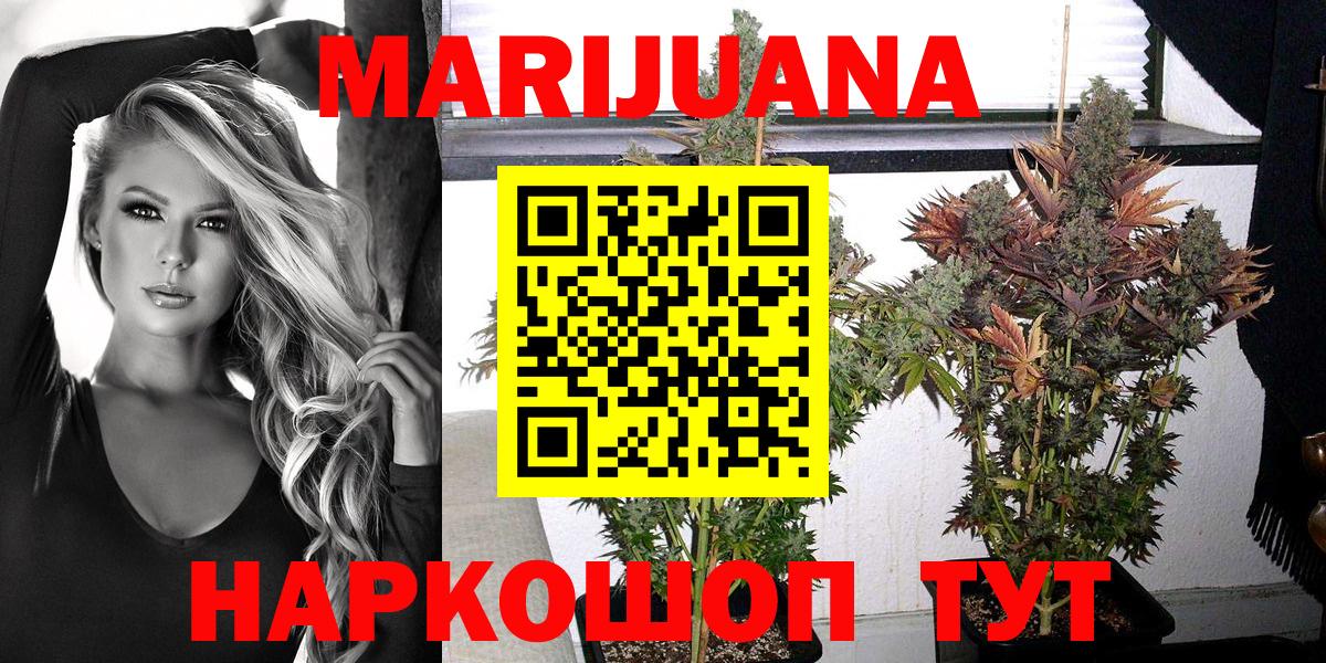 Бошки Шишки OG Kush  Вход с VPN  Кимовск  Бошки Шишки Bruce Banner 